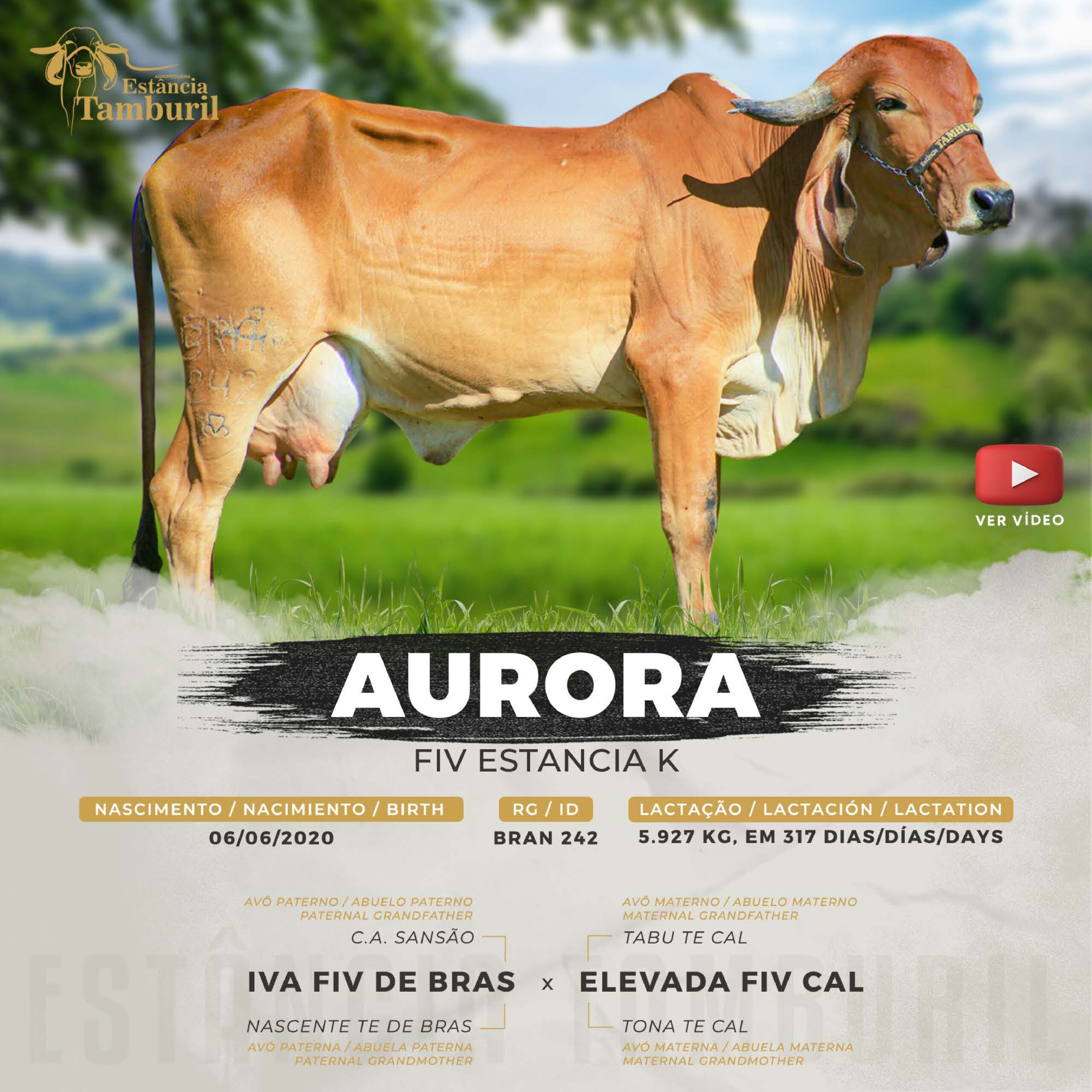 catalogo_tamburil_page-0063