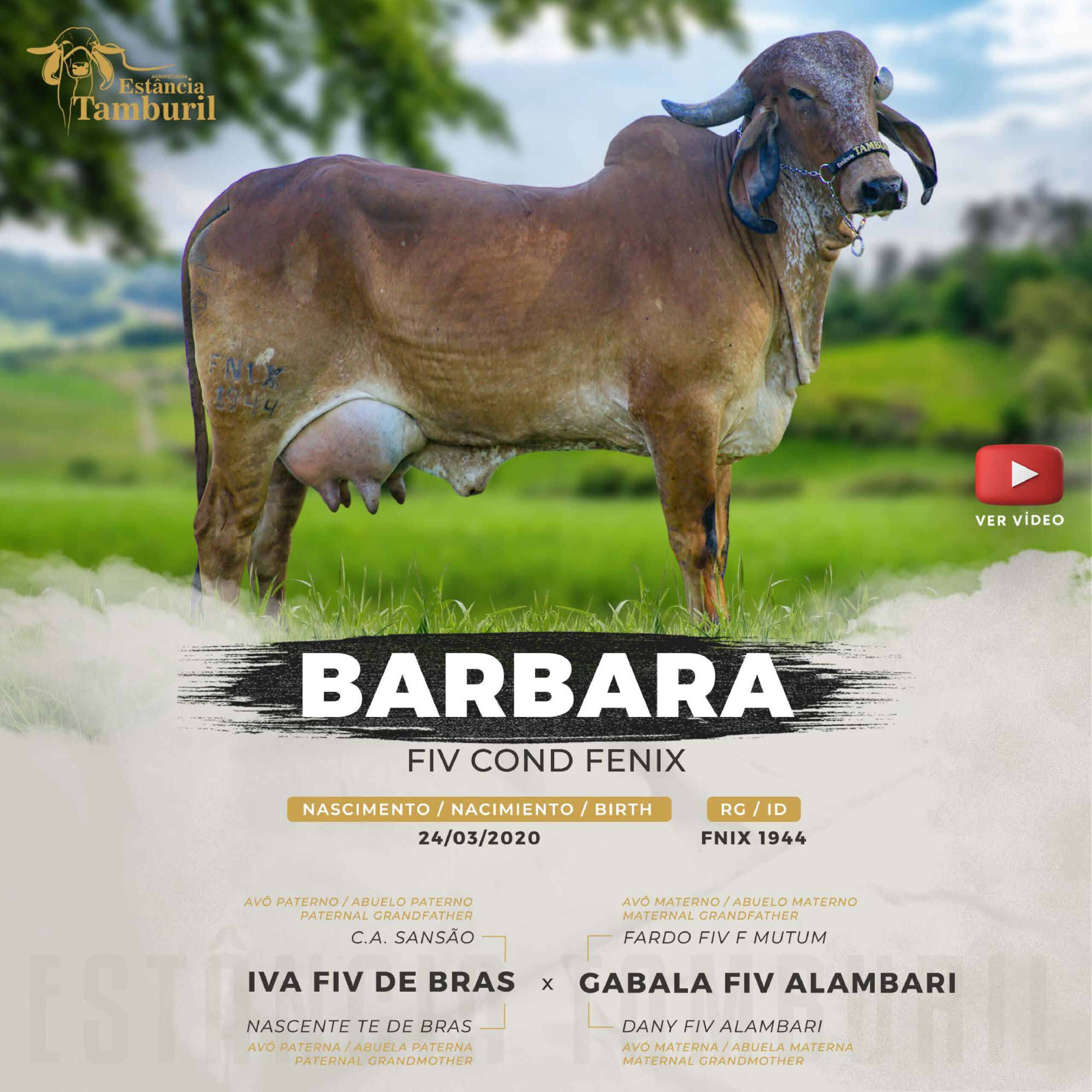 catalogo_tamburil_page-0064