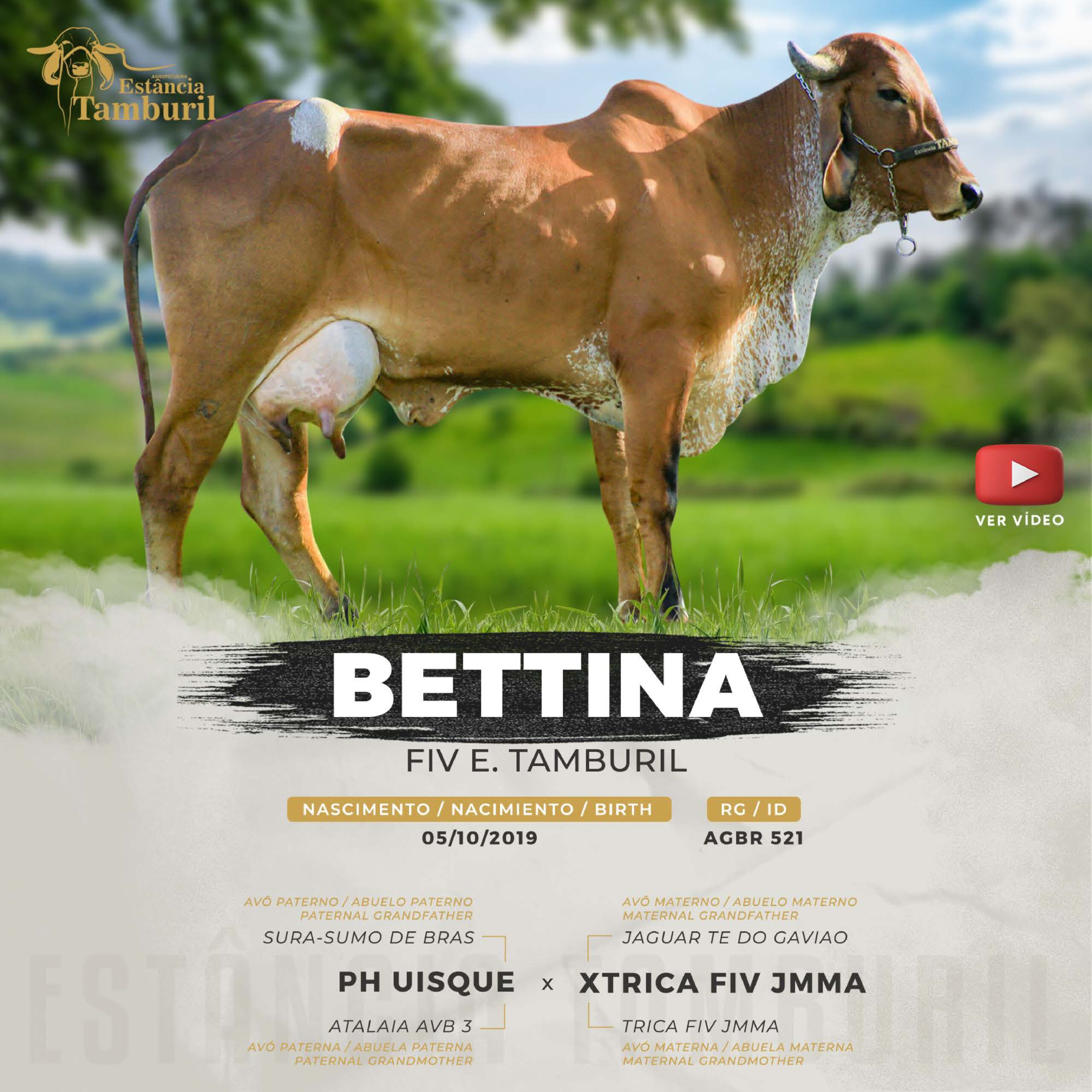 catalogo_tamburil_page-0065