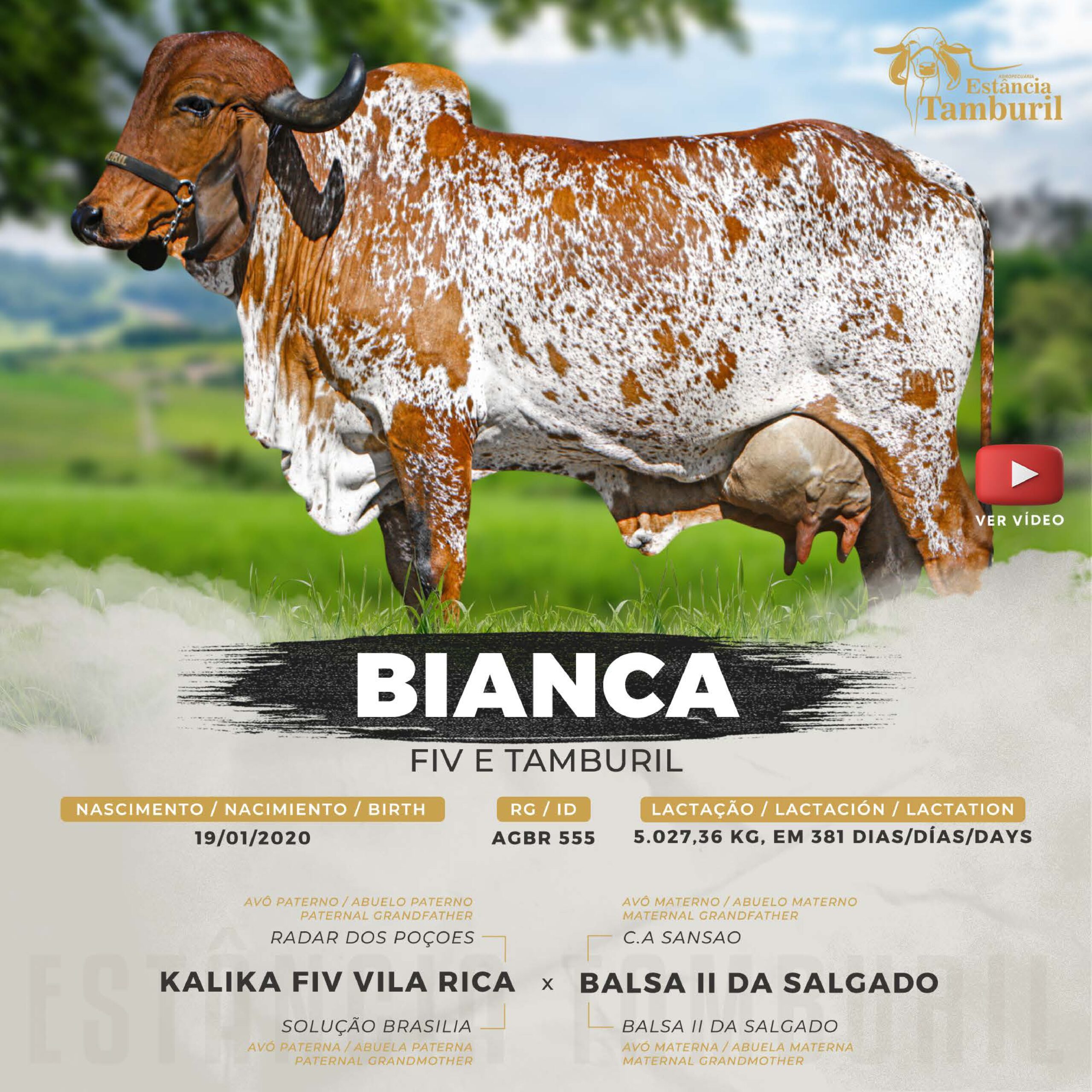 catalogo_tamburil_page-0066