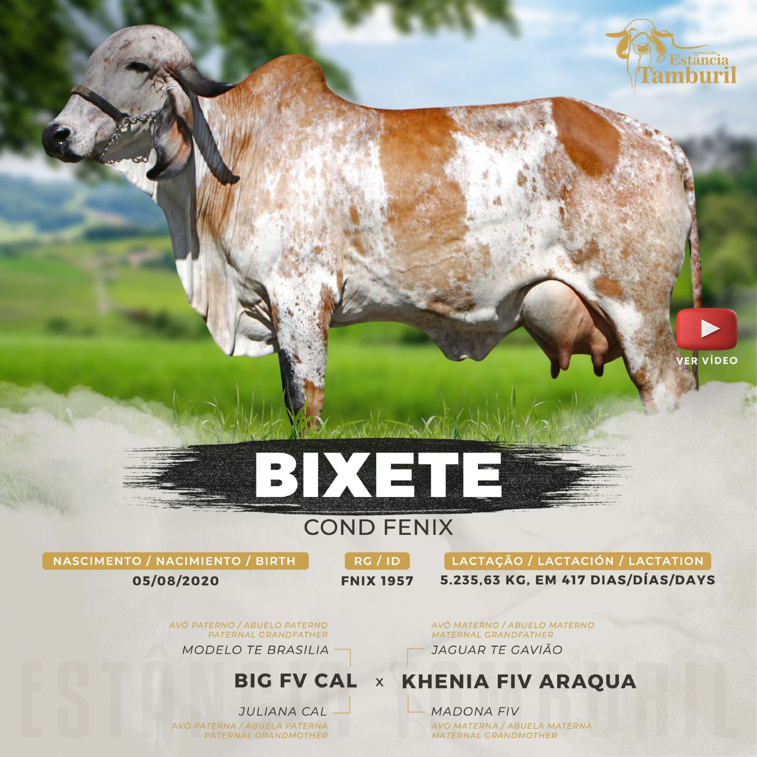 catalogo_tamburil_page-0067