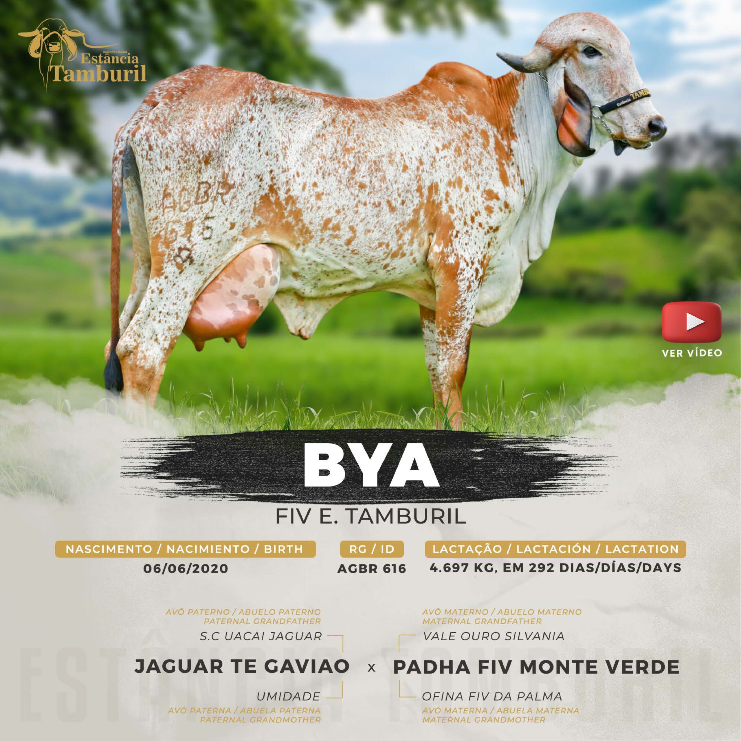 catalogo_tamburil_page-0069