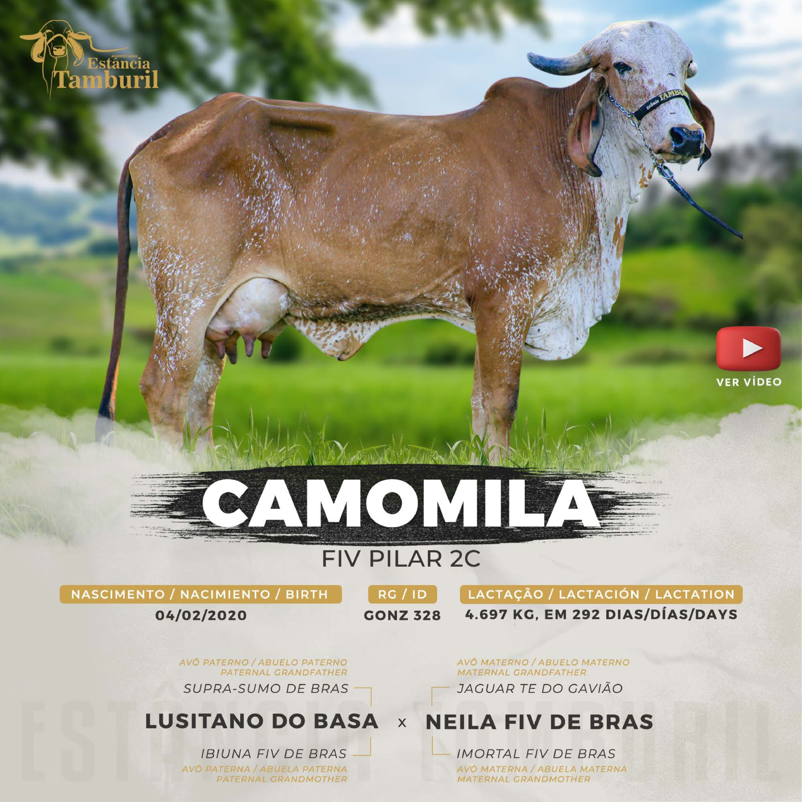 catalogo_tamburil_page-0071