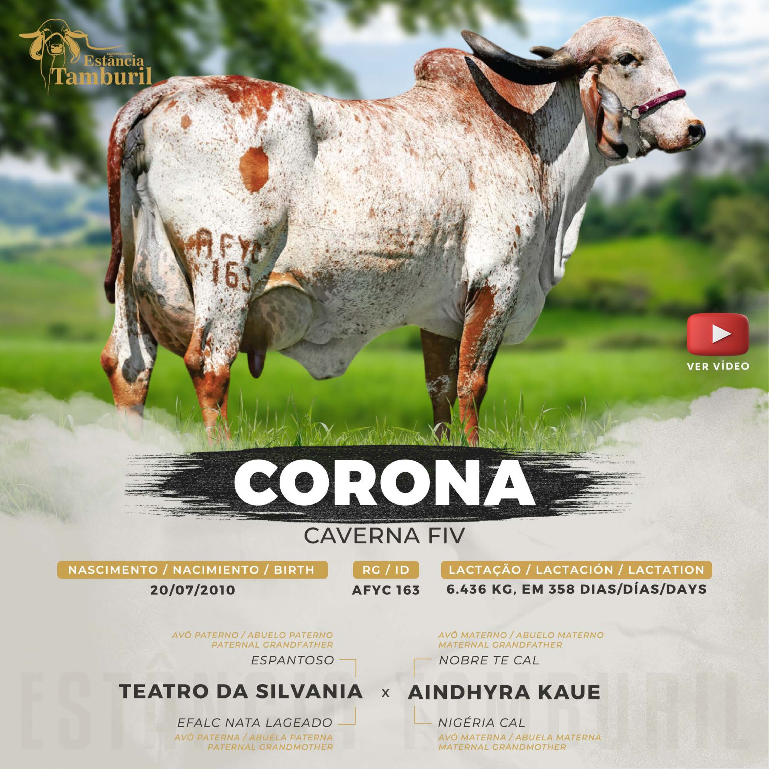 catalogo_tamburil_page-0072