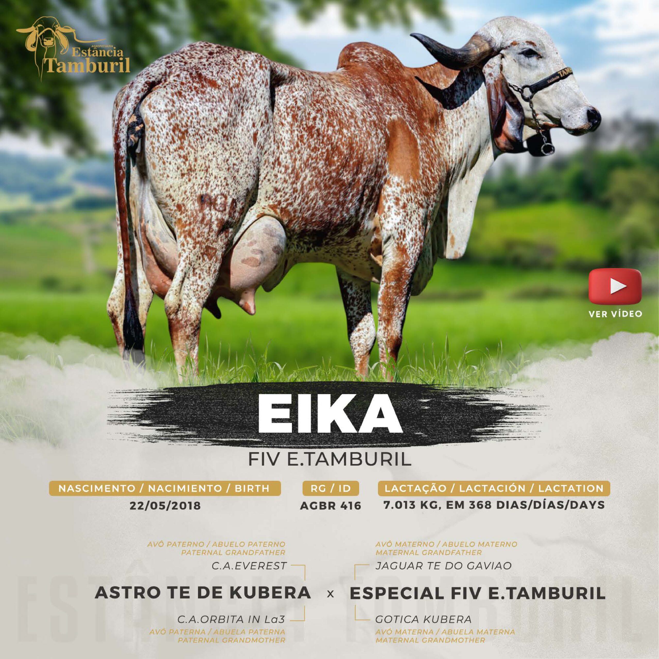 catalogo_tamburil_page-0074