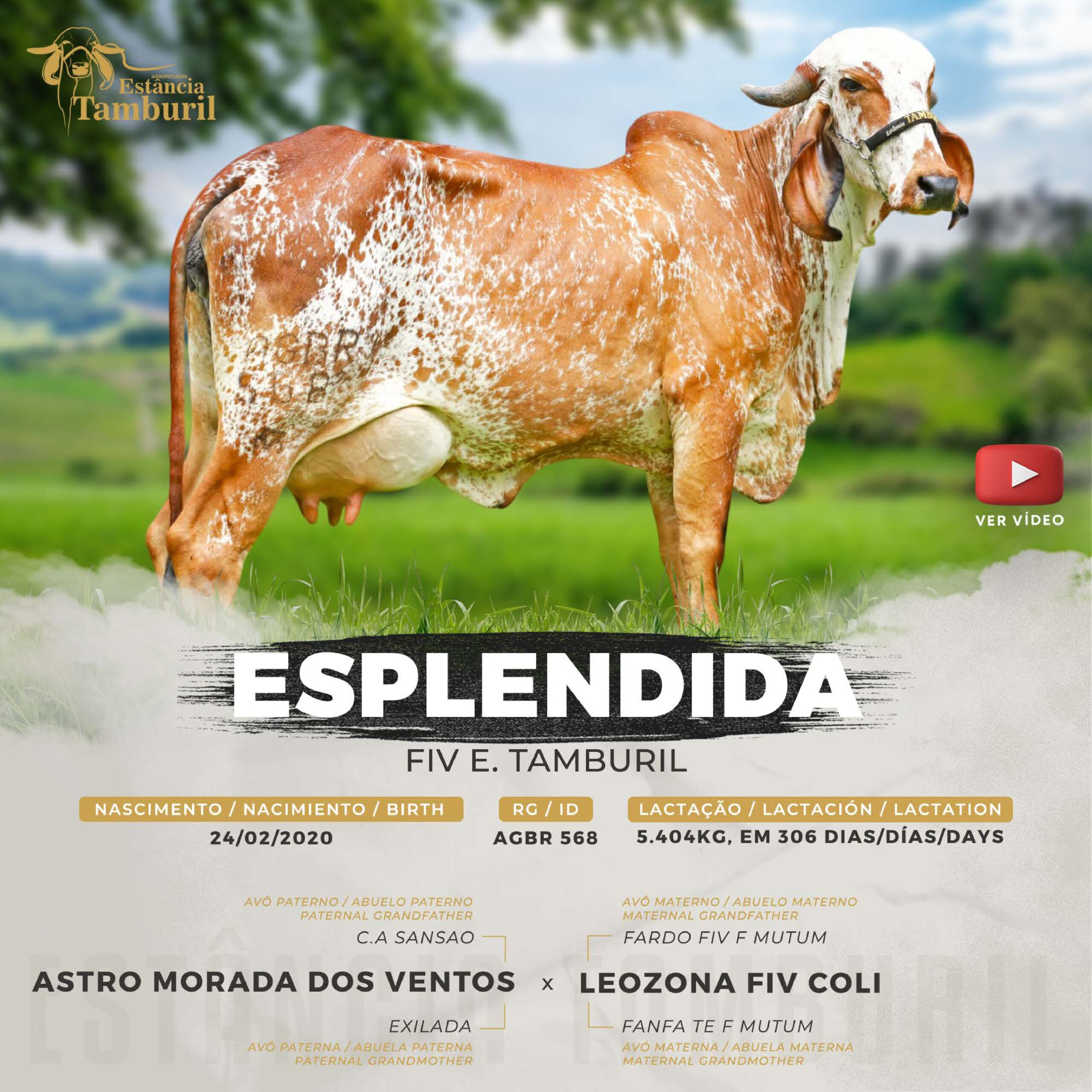 catalogo_tamburil_page-0075