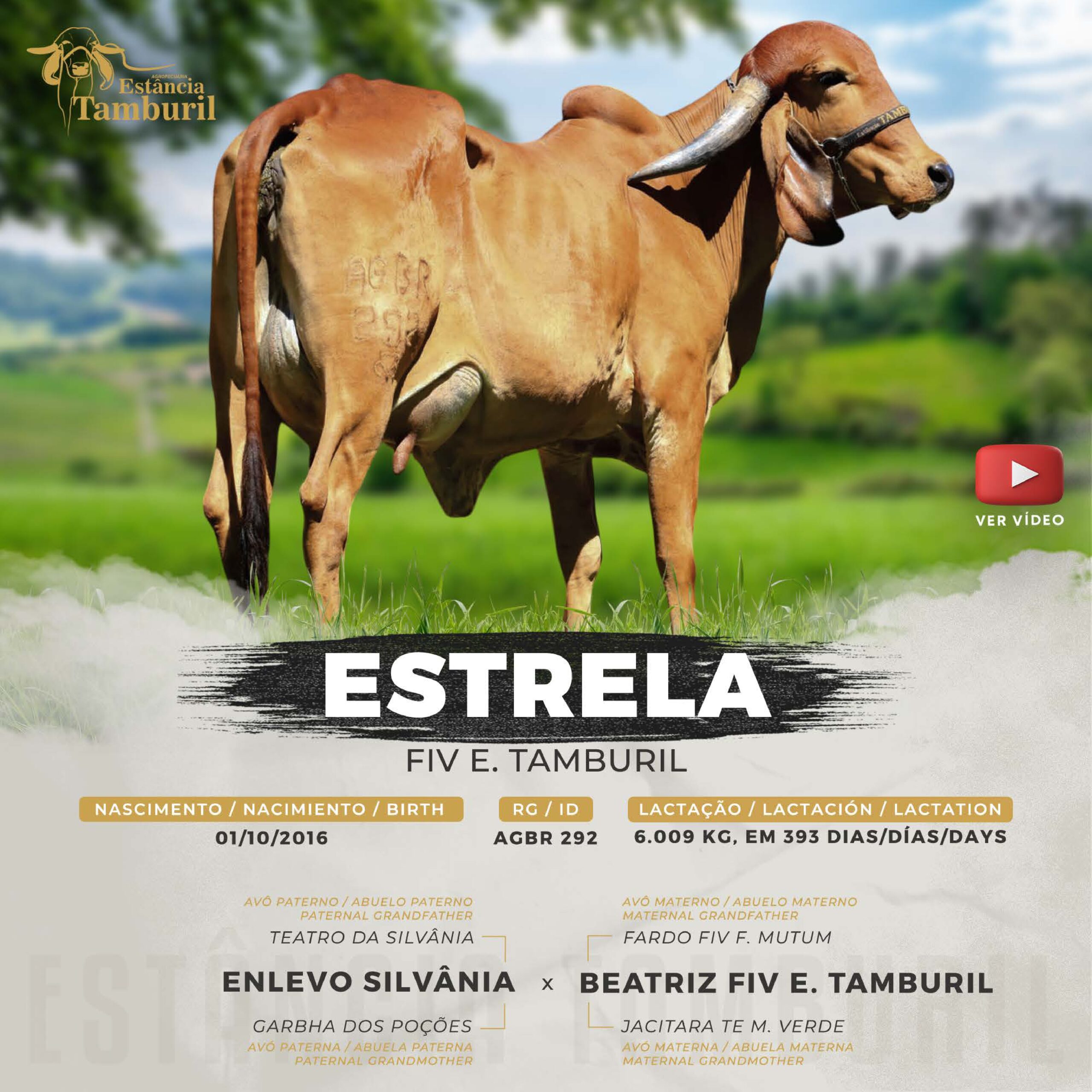 catalogo_tamburil_page-0076