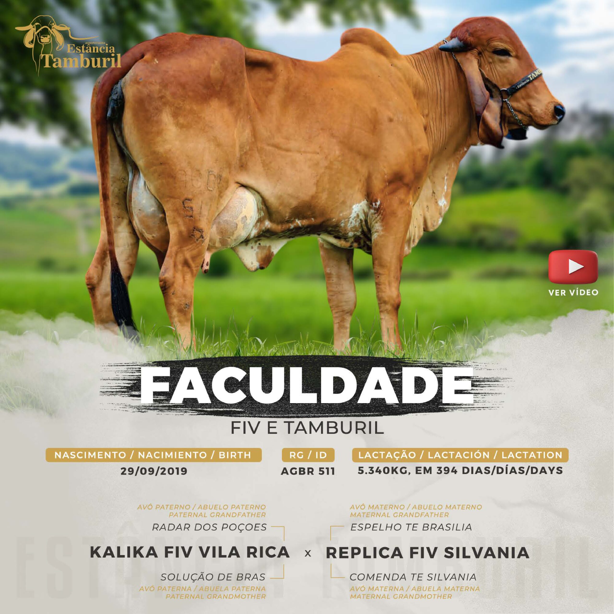 catalogo_tamburil_page-0077