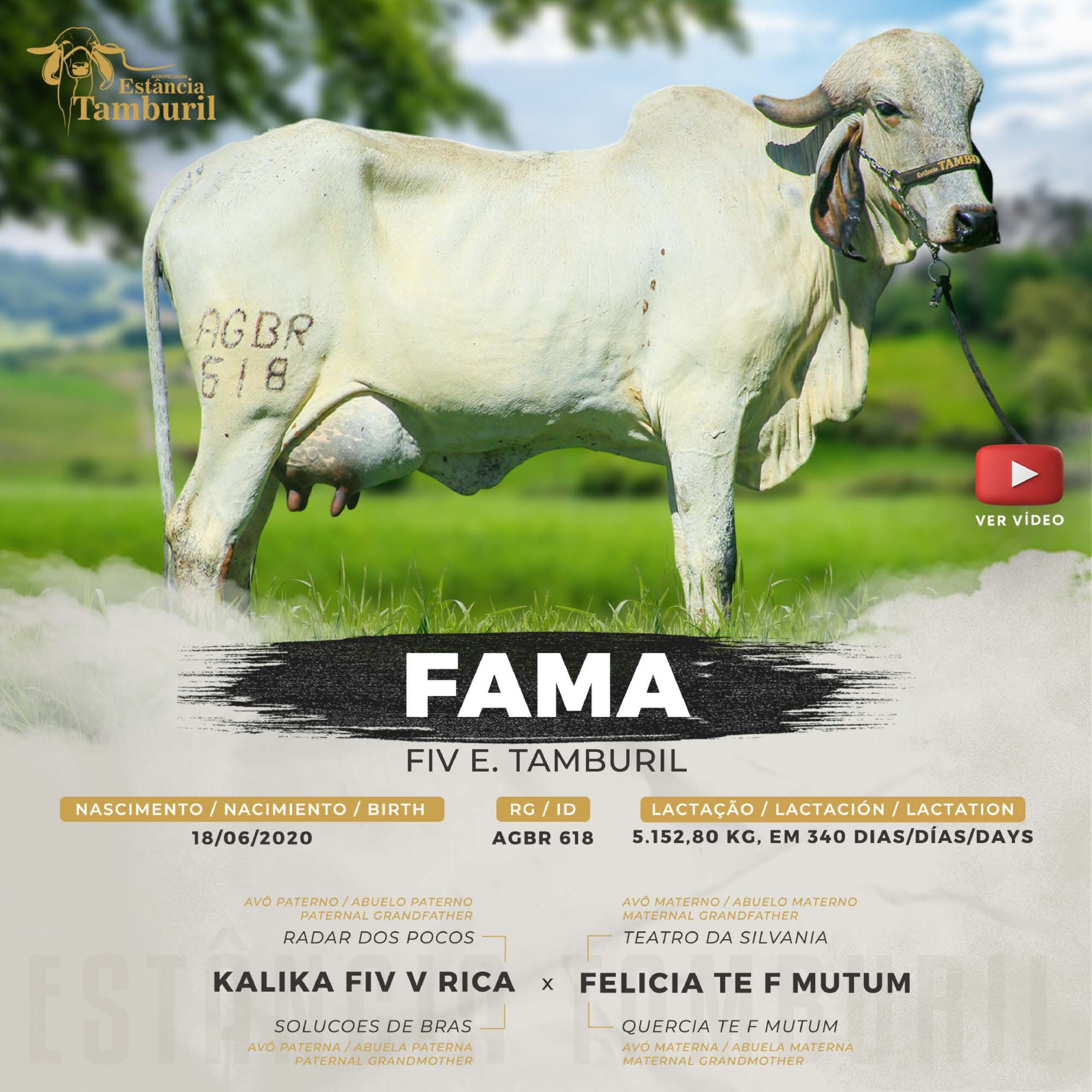 catalogo_tamburil_page-0078