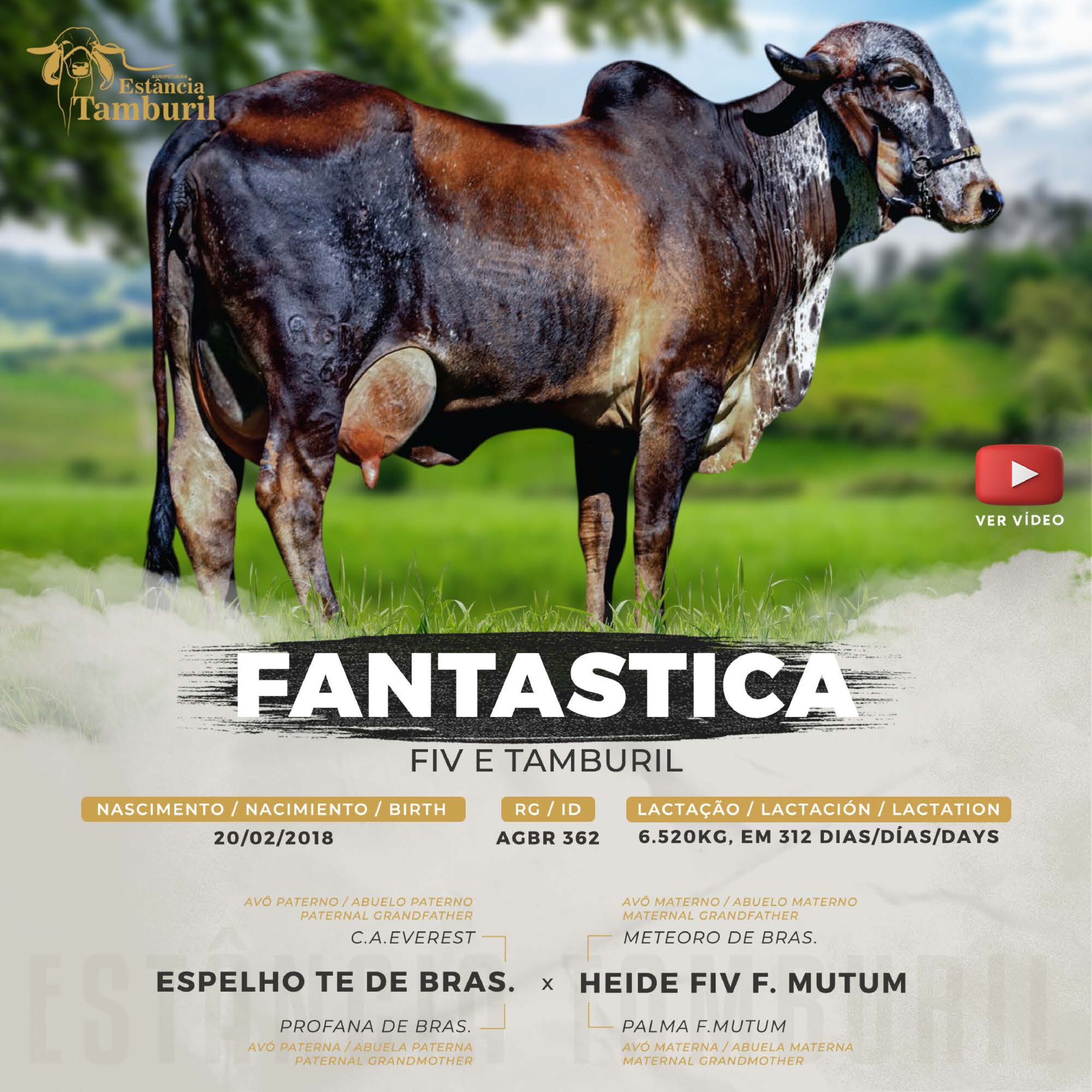 catalogo_tamburil_page-0079