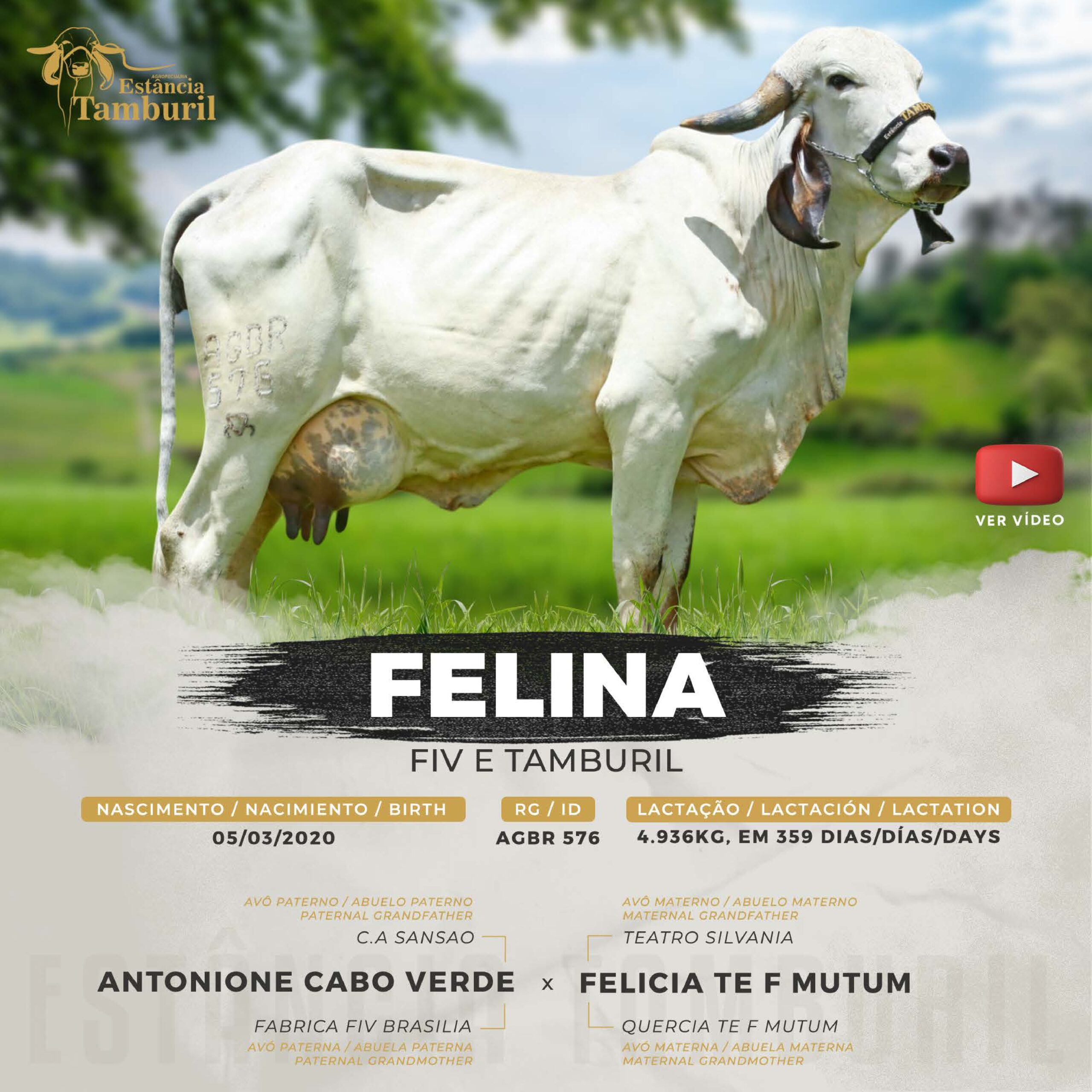 catalogo_tamburil_page-0080