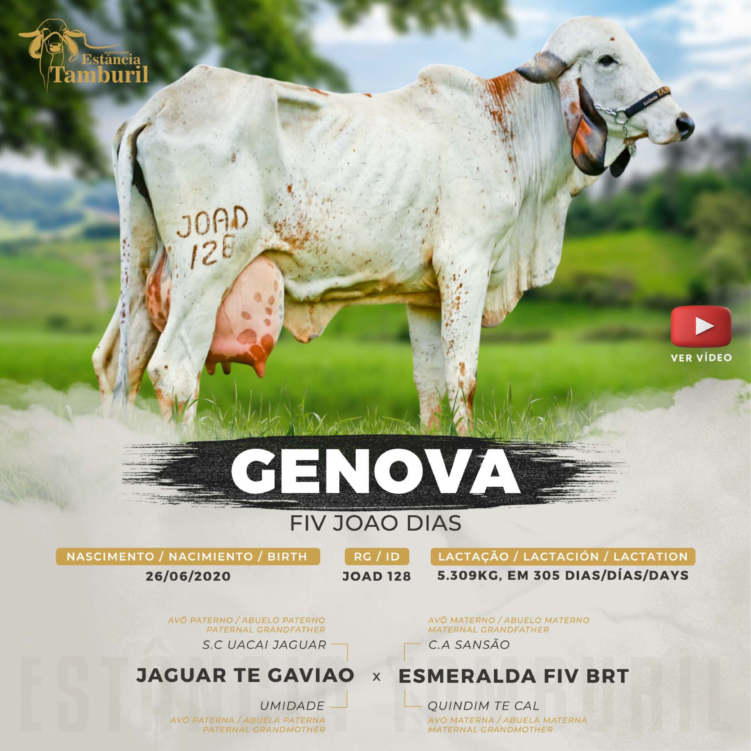 catalogo_tamburil_page-0082