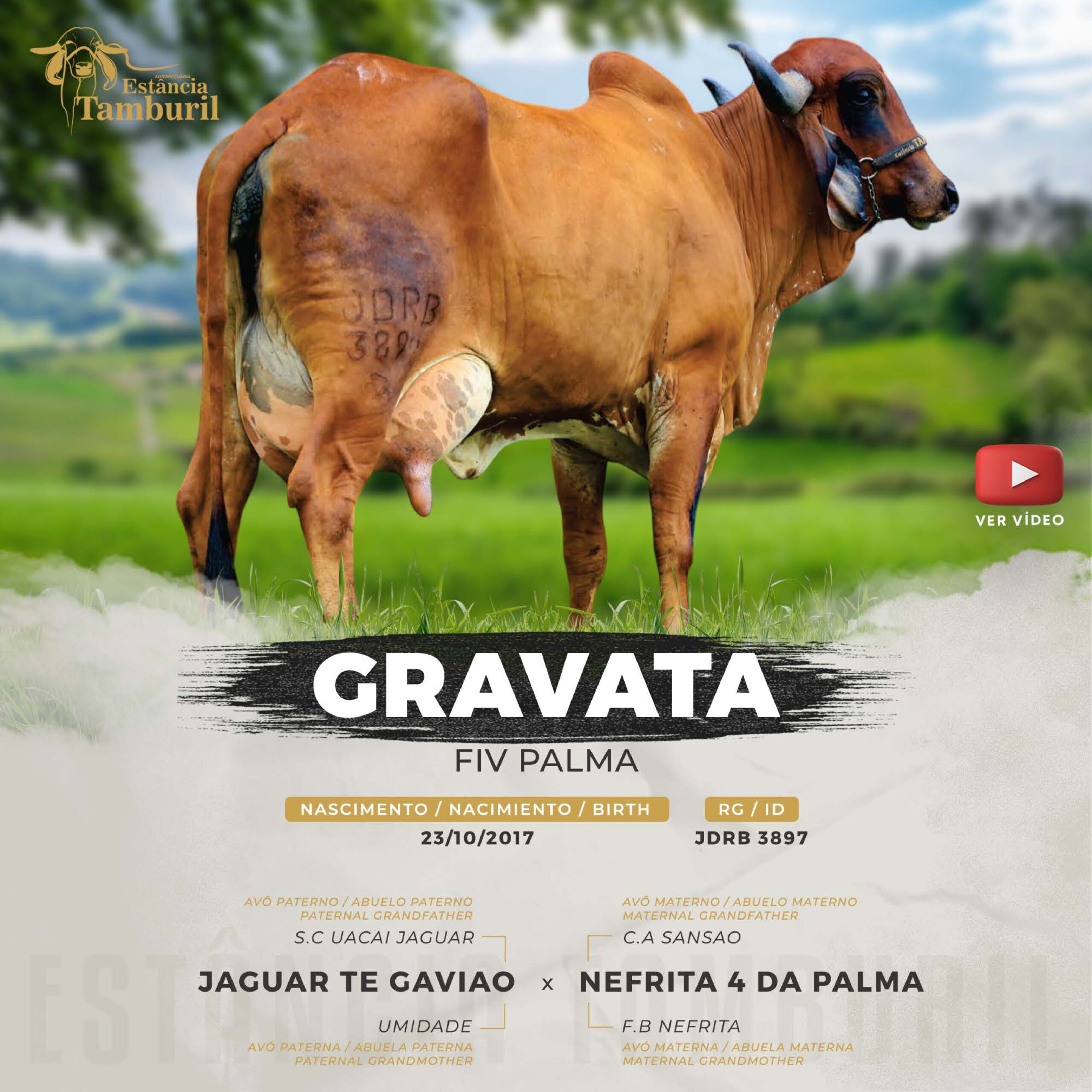 catalogo_tamburil_page-0083