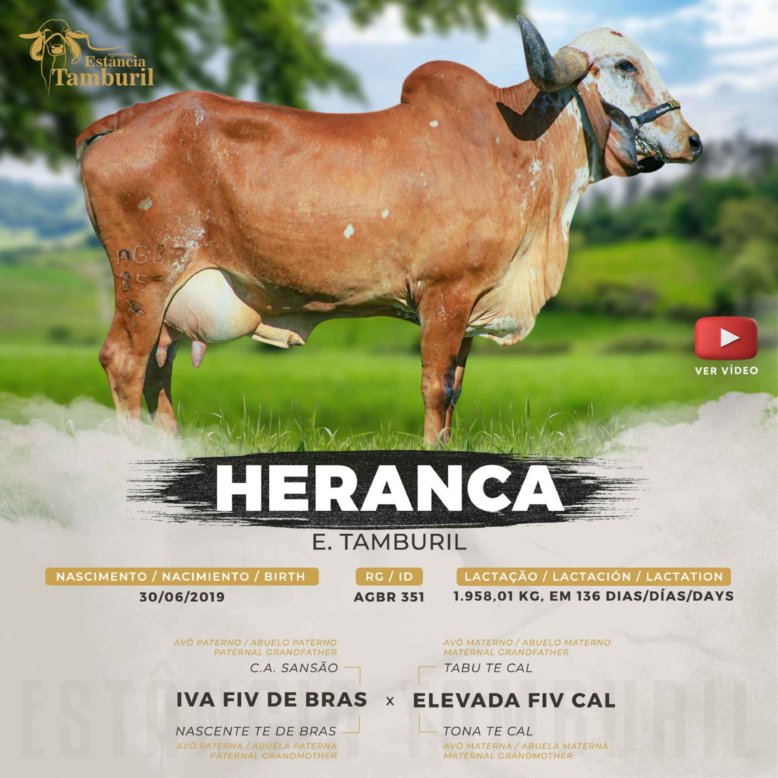 catalogo_tamburil_page-0084