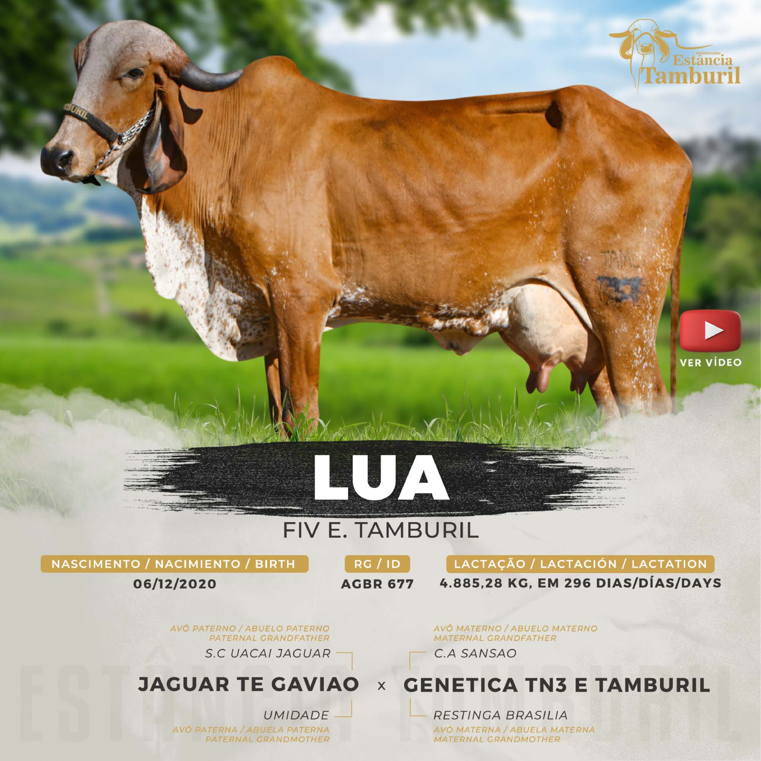 catalogo_tamburil_page-0085