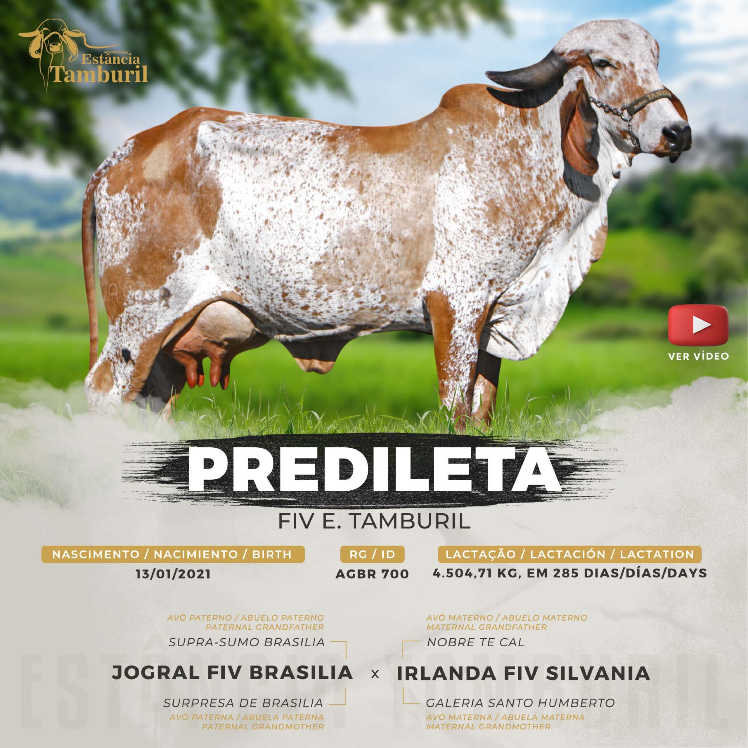 catalogo_tamburil_page-0087