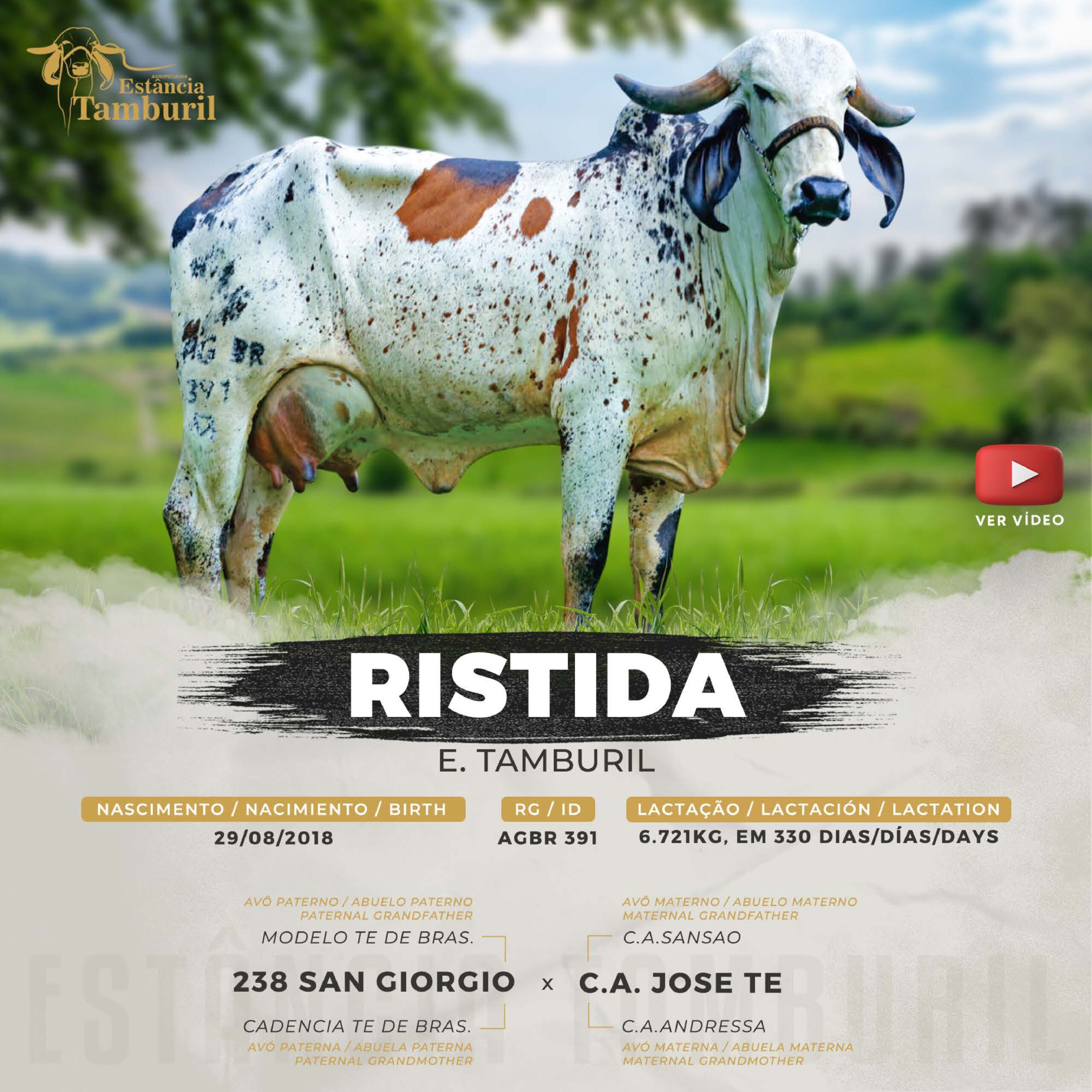 catalogo_tamburil_page-0088