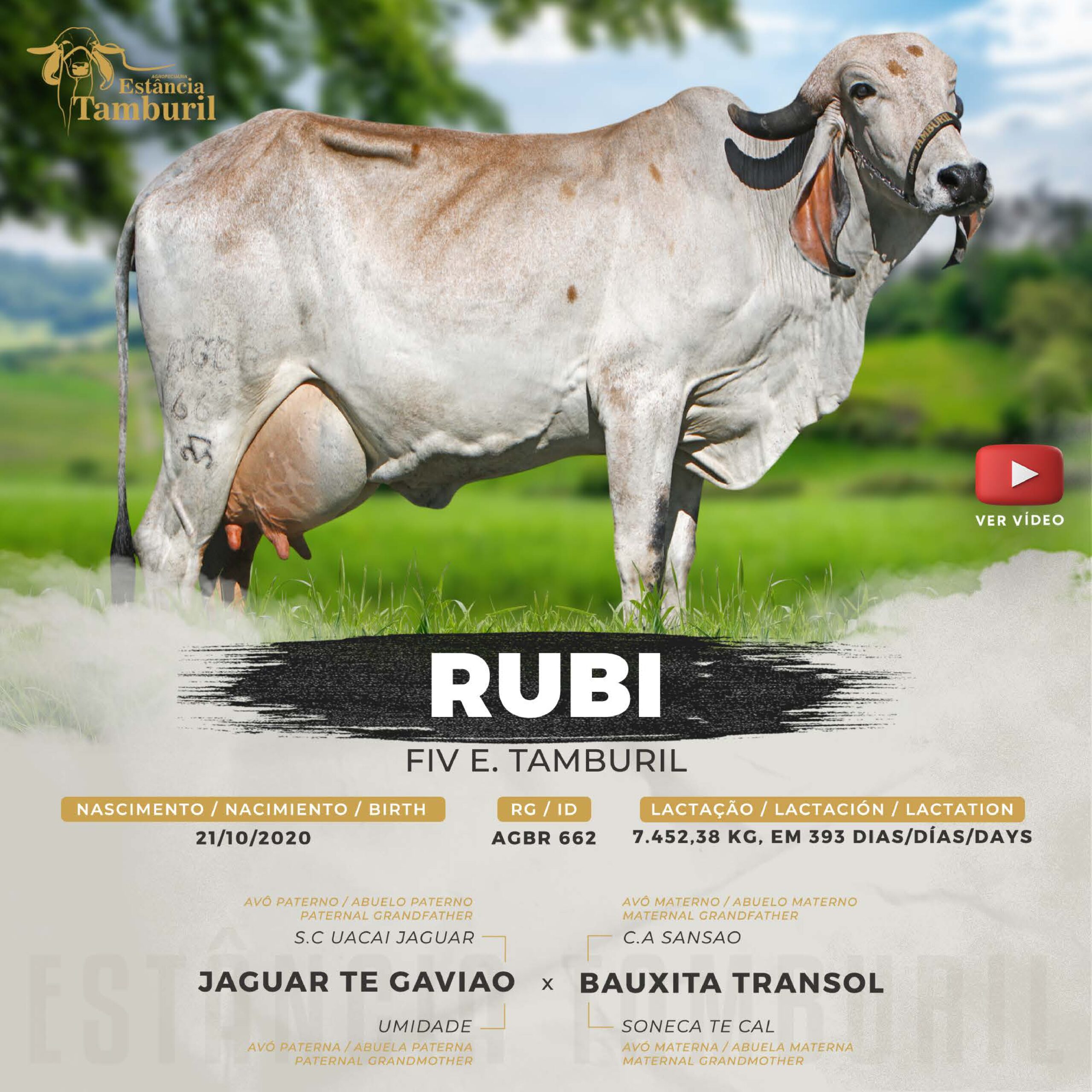 catalogo_tamburil_page-0089