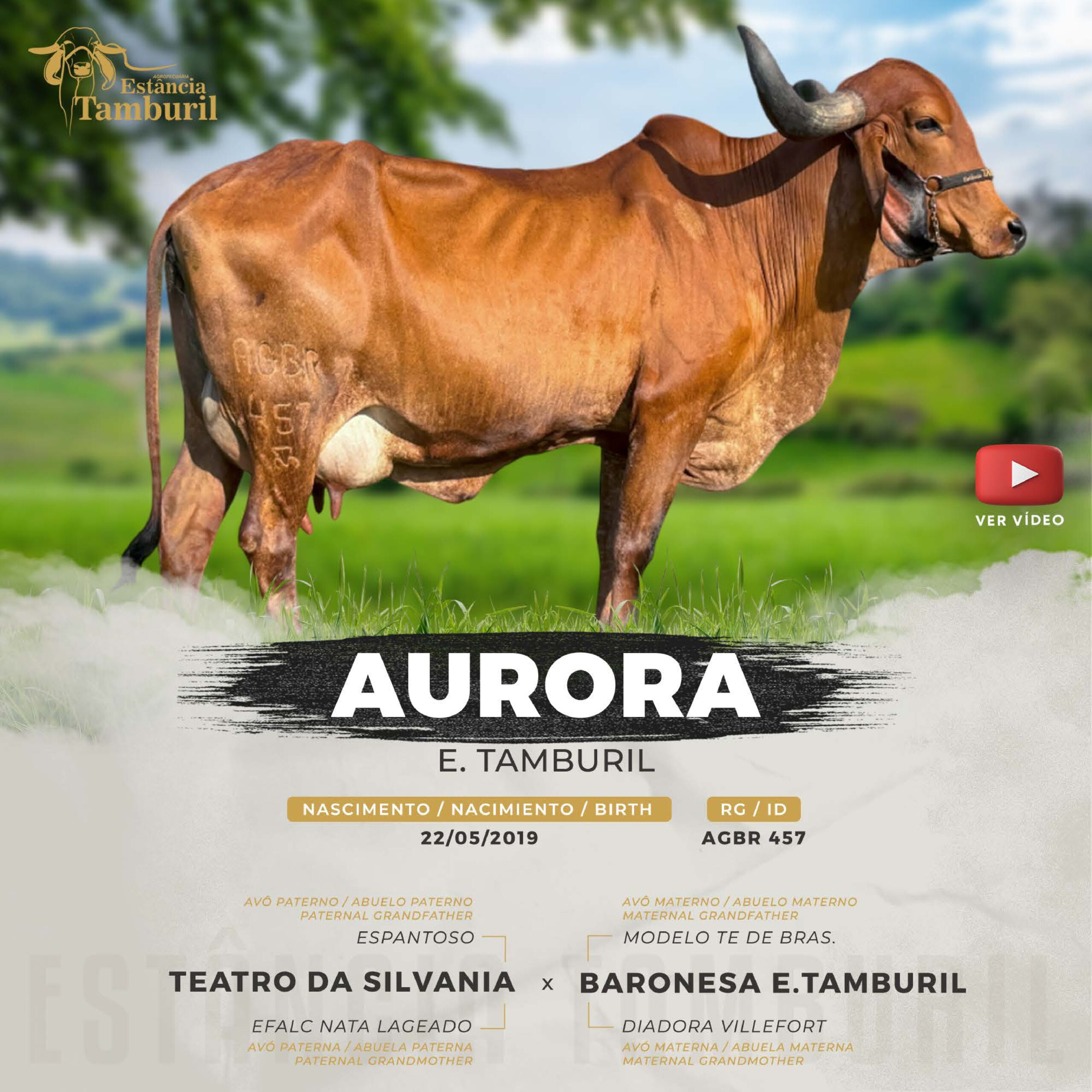 catalogo_tamburil_page-0091