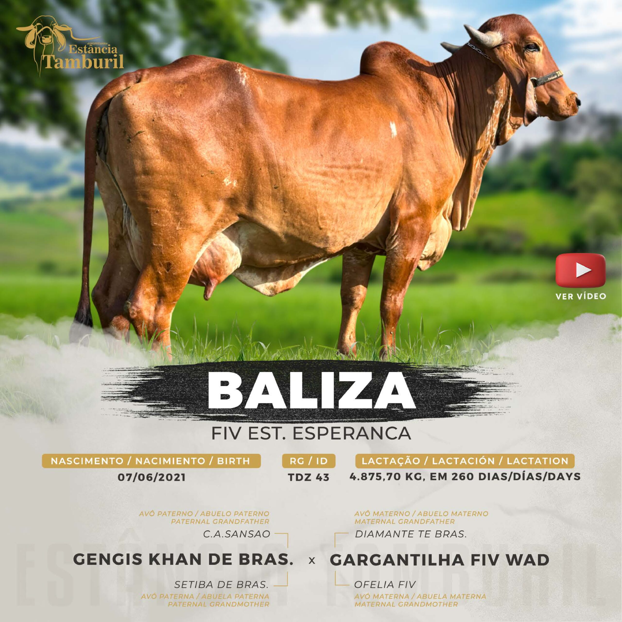 catalogo_tamburil_page-0092