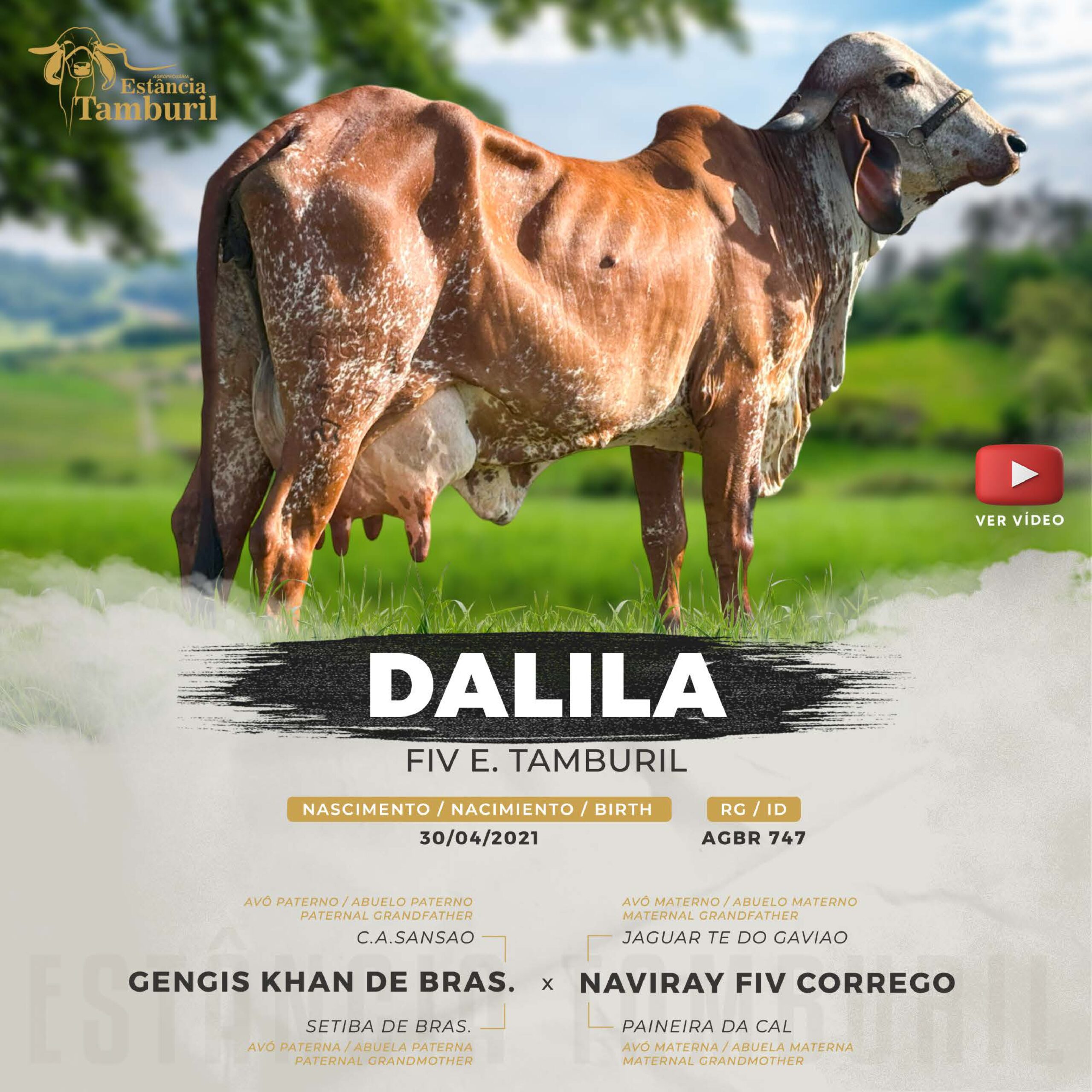 catalogo_tamburil_page-0093