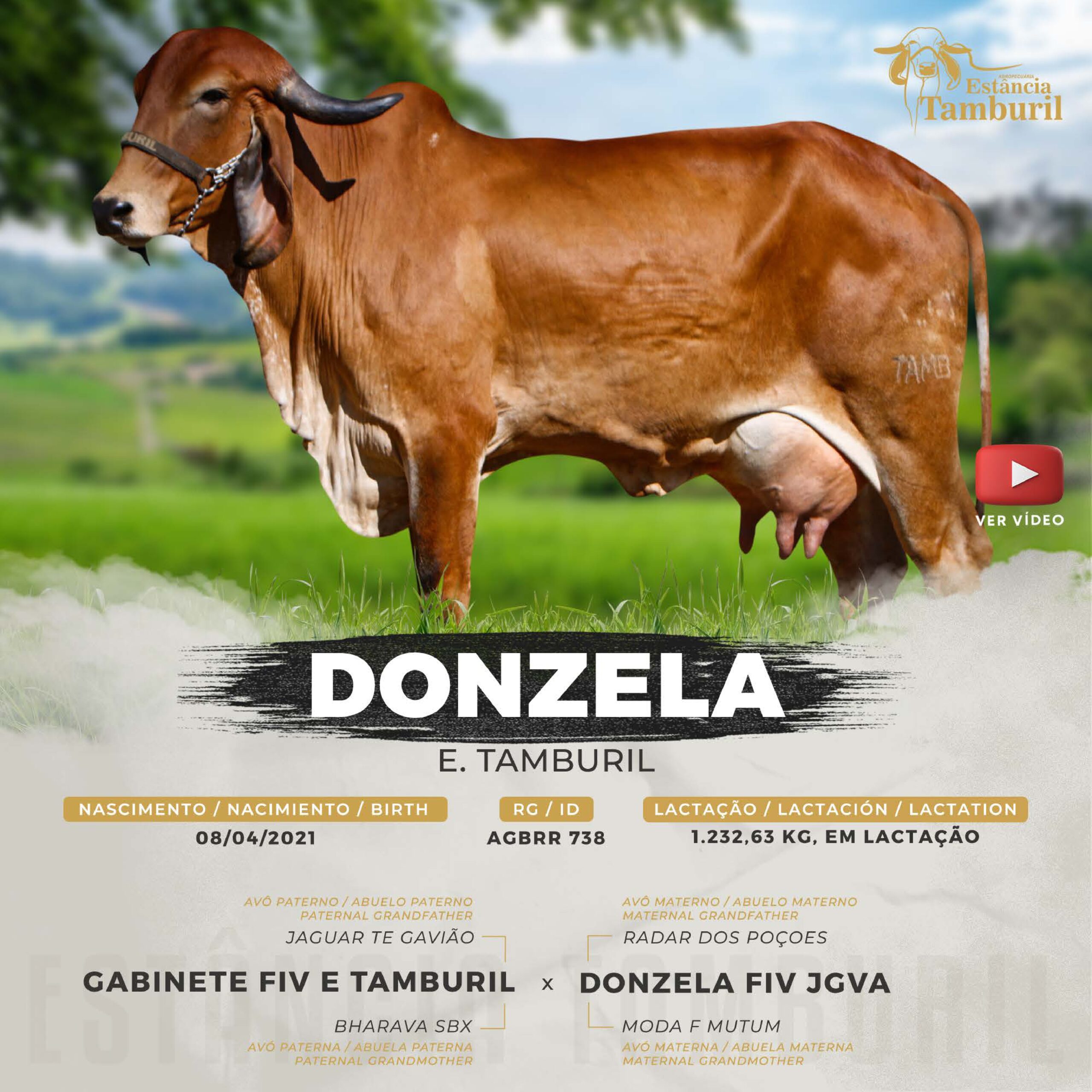 catalogo_tamburil_page-0094