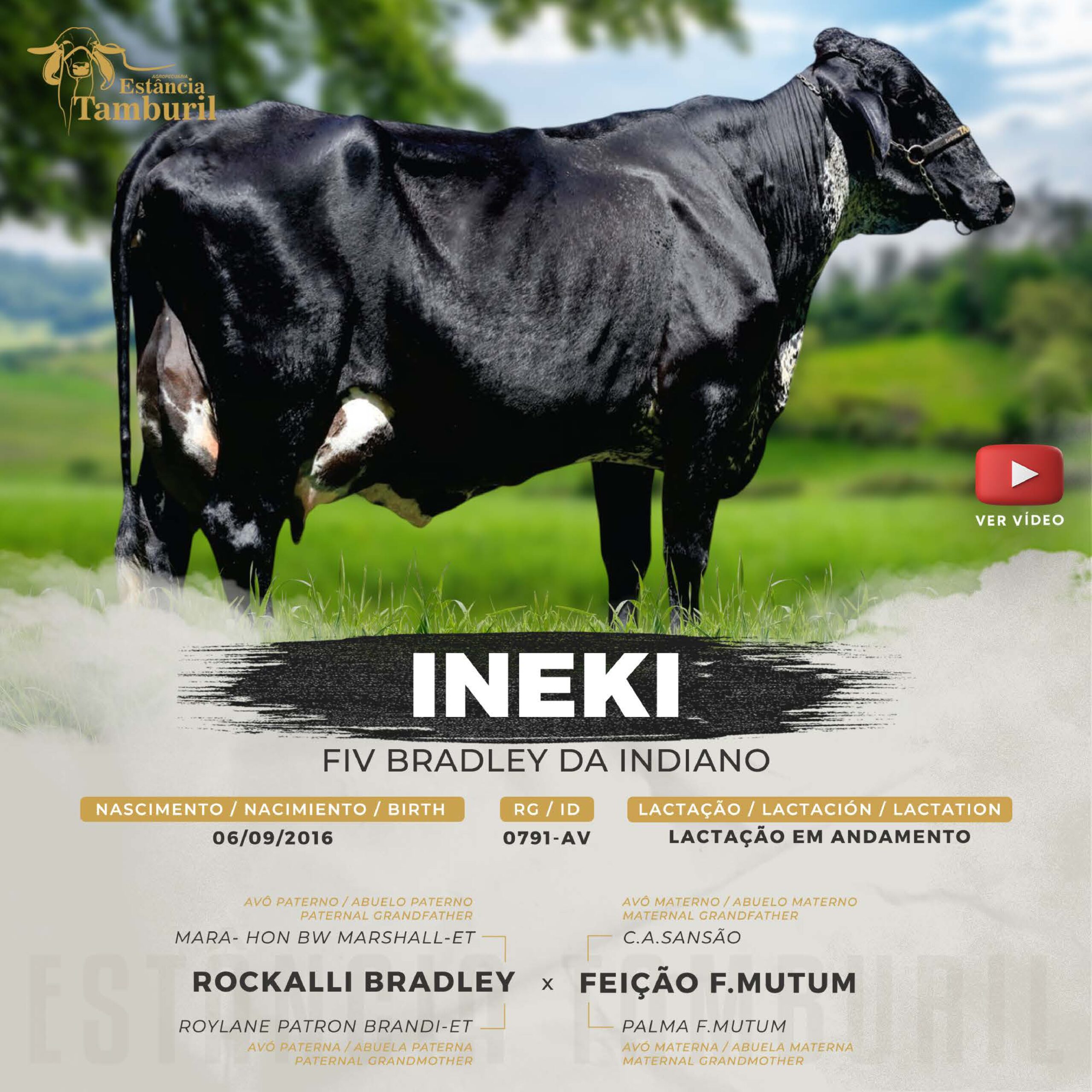 catalogo_tamburil_page-0095