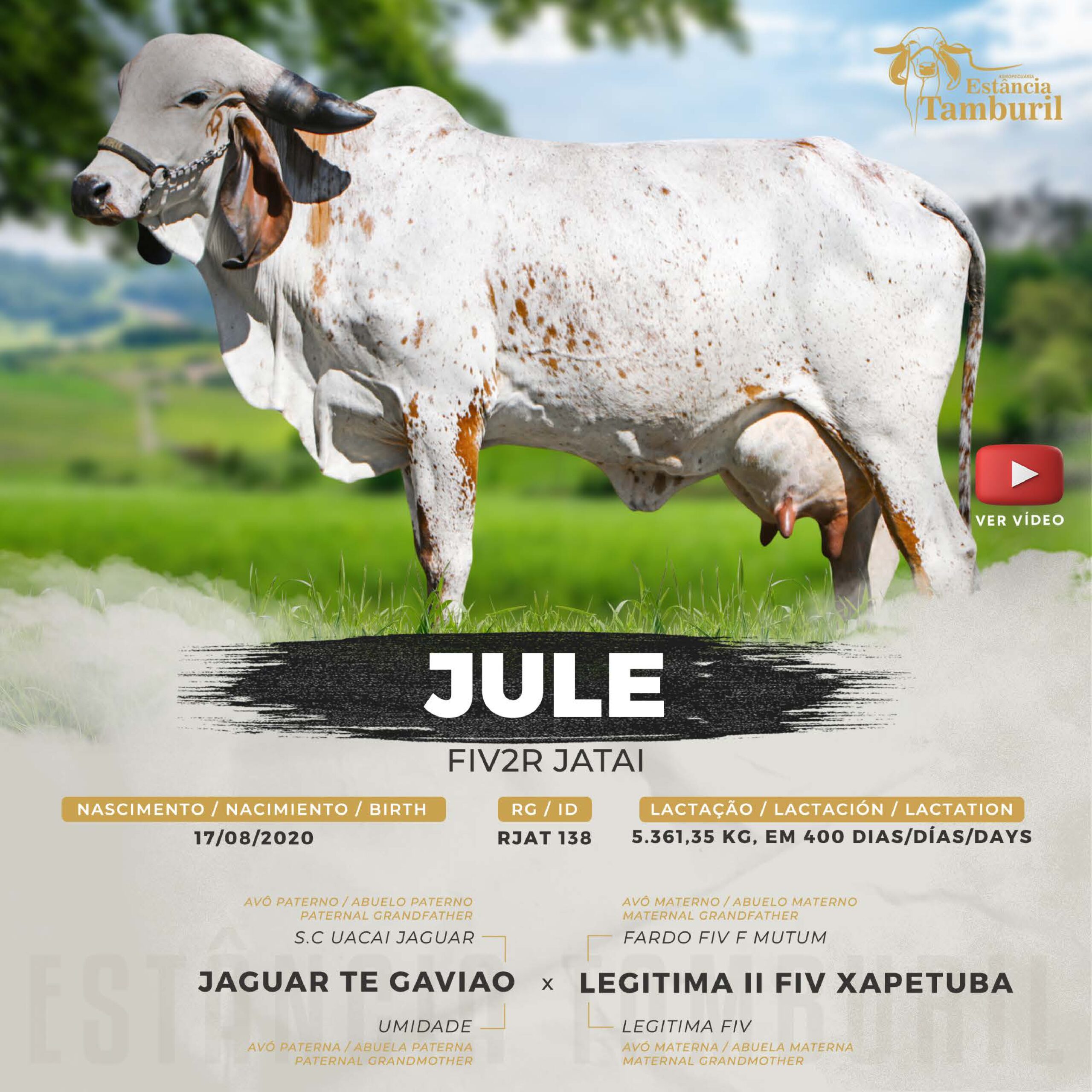 catalogo_tamburil_page-0096