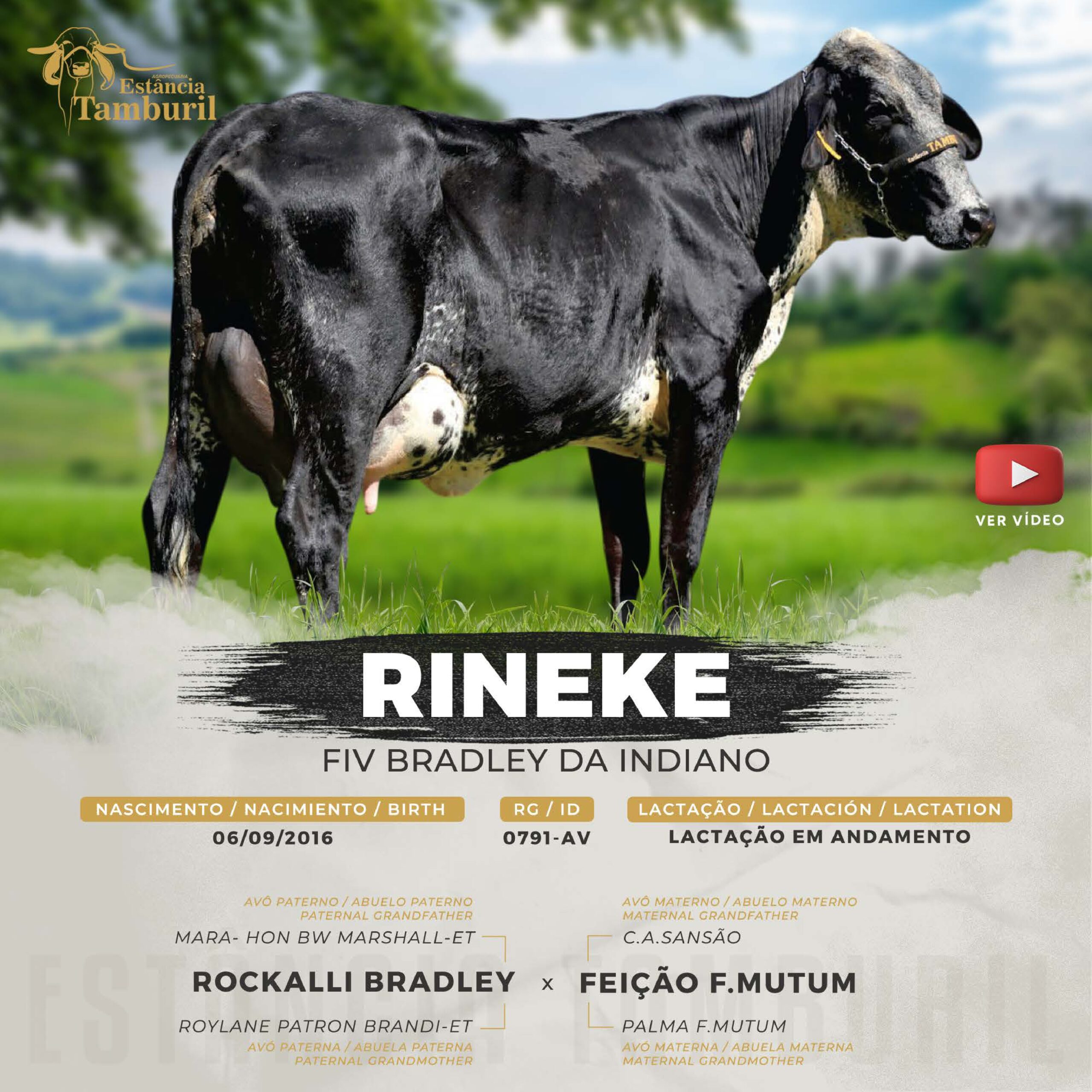 catalogo_tamburil_page-0097