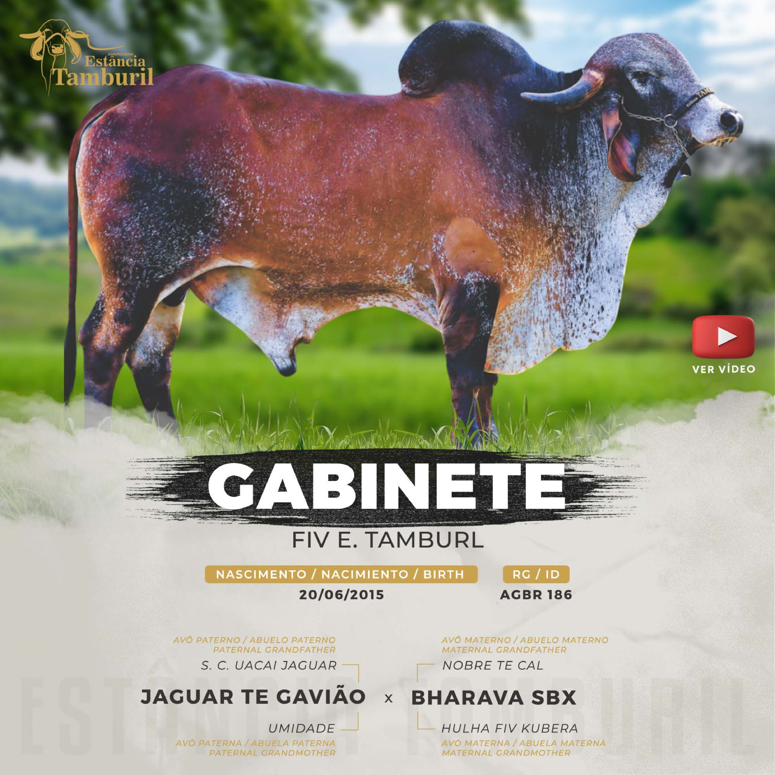 catalogo_tamburil_page-0099