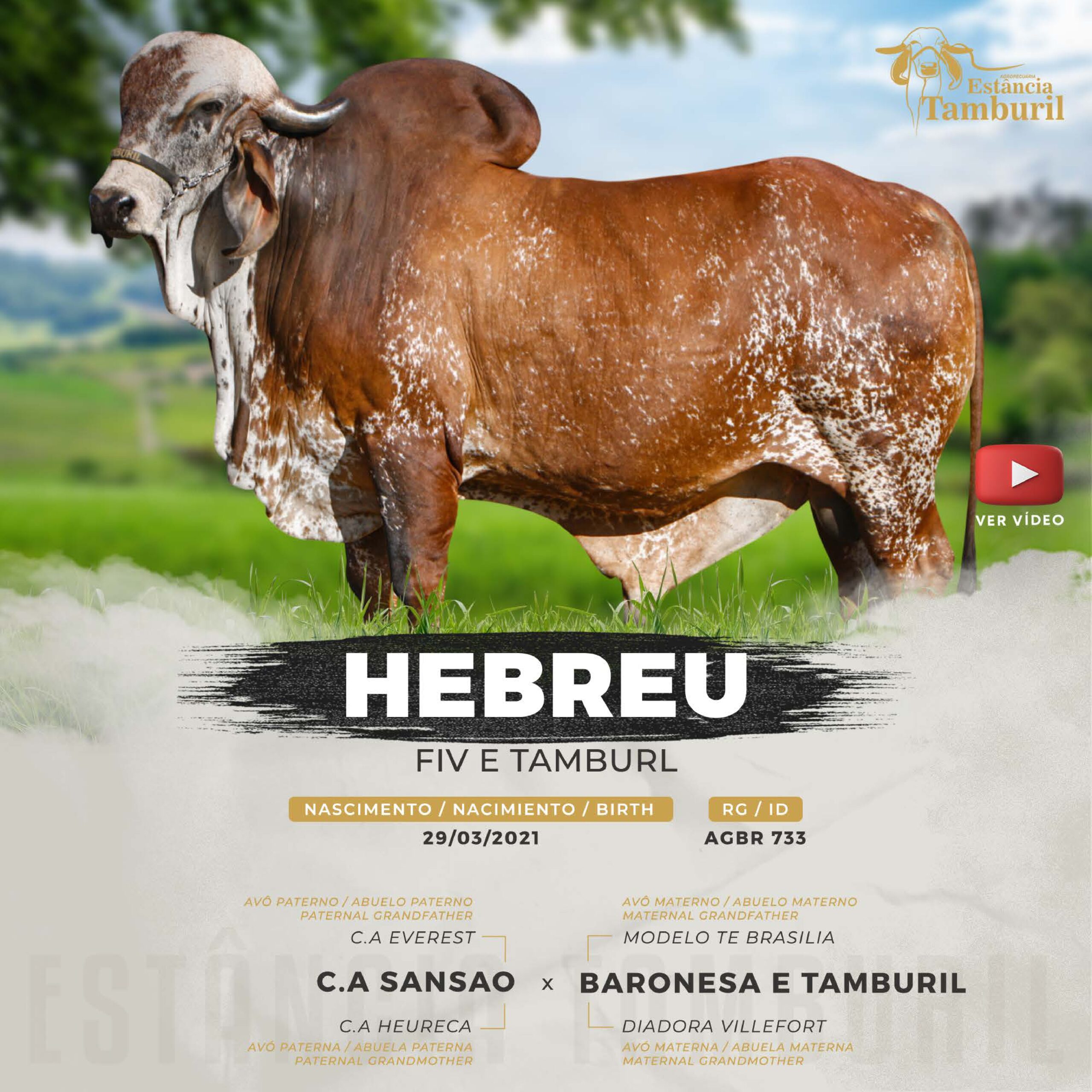 catalogo_tamburil_page-0100